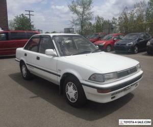 Item 1980 Toyota Corolla Super Limited for Sale