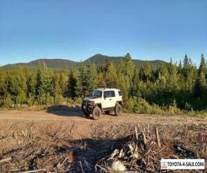 2010 Toyota FJ Cruiser Trail Team Edition for Sale